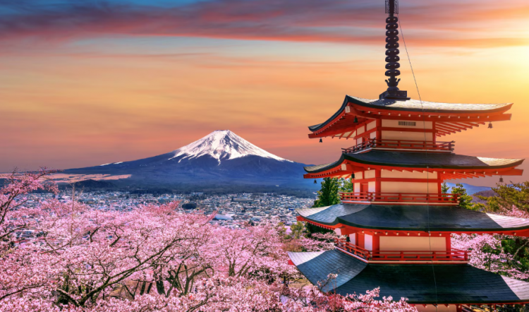 JAPAN 11 DANA/ 8 NOĆENJA 